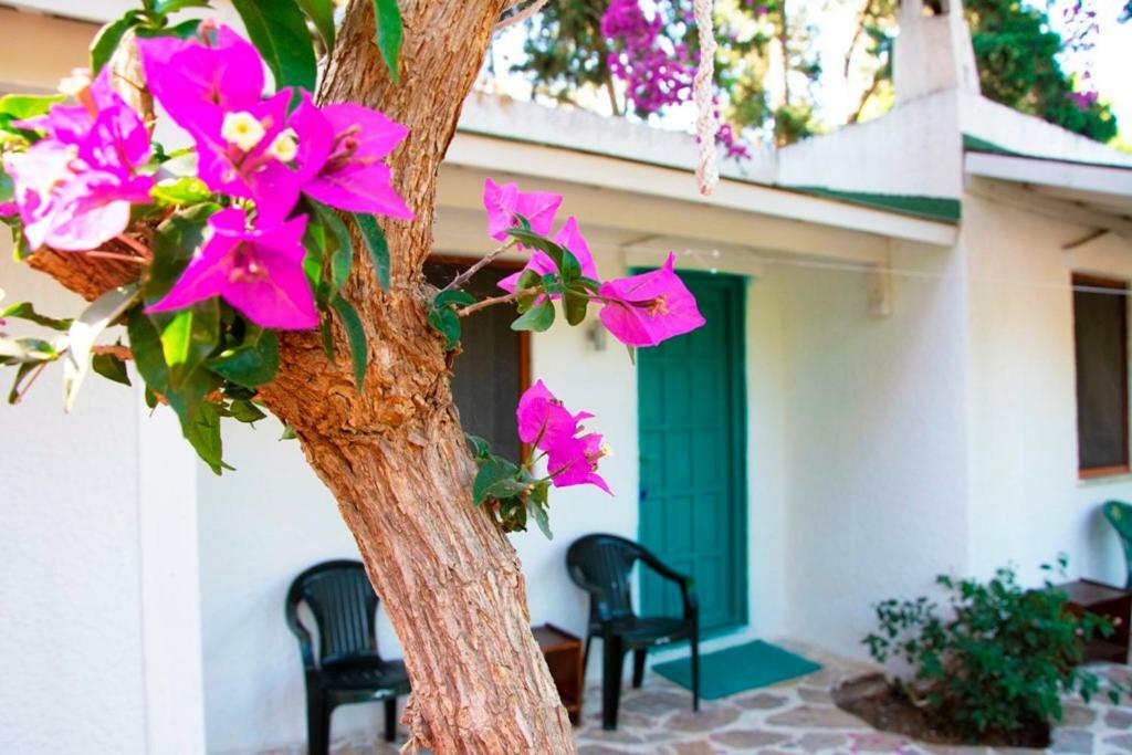 myndos bed&breakfast Bodrum Eksteriør bilde